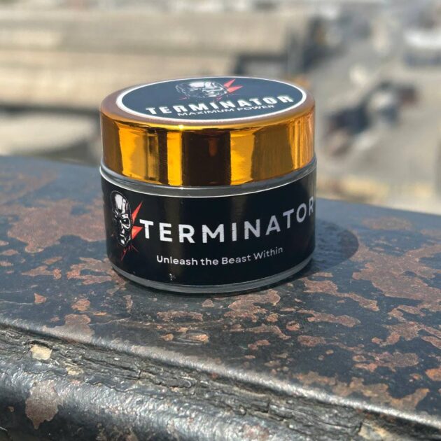 🪖 Terminator 🪖